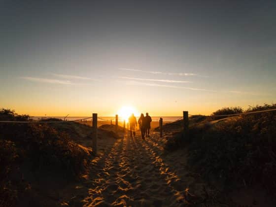 3 people walking near sand dunes on beach